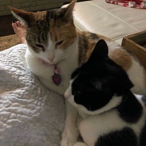 Meet your Posher, Tj